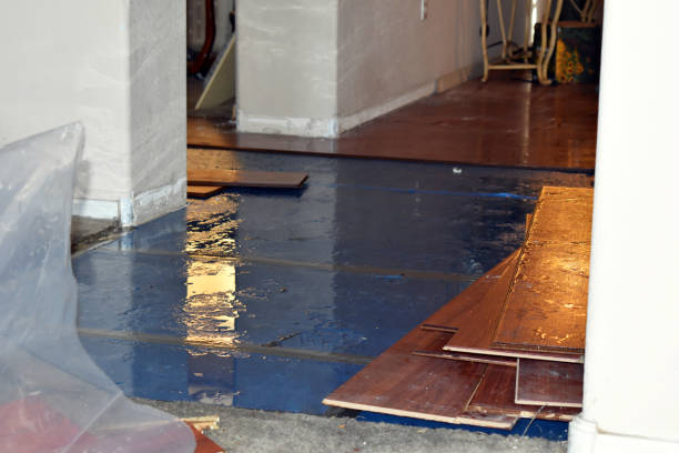 Professional Ceiling Water Damage Repair technician working in Grant, MI