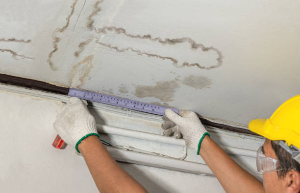 Reliable Ceiling Water Damage Repair contractor in Grant, MI by Hirex Water Damage